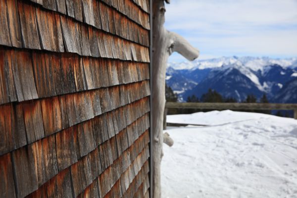 Cedar Siding Repair in Fremont