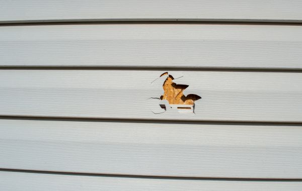 Siding Hole Repair in Fremont