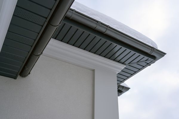 Siding Trim Repair in Fremont