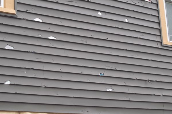 Damaged Siding Replacement in Fremont