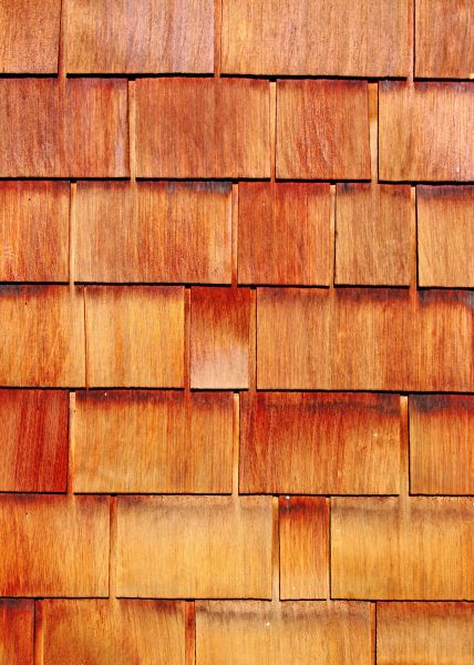 Wood Siding Replacement in Fremont