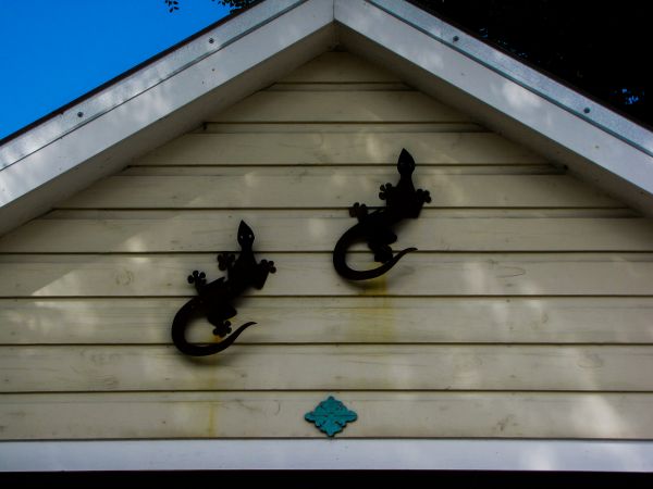 Shiplap Siding Installation in Fremont